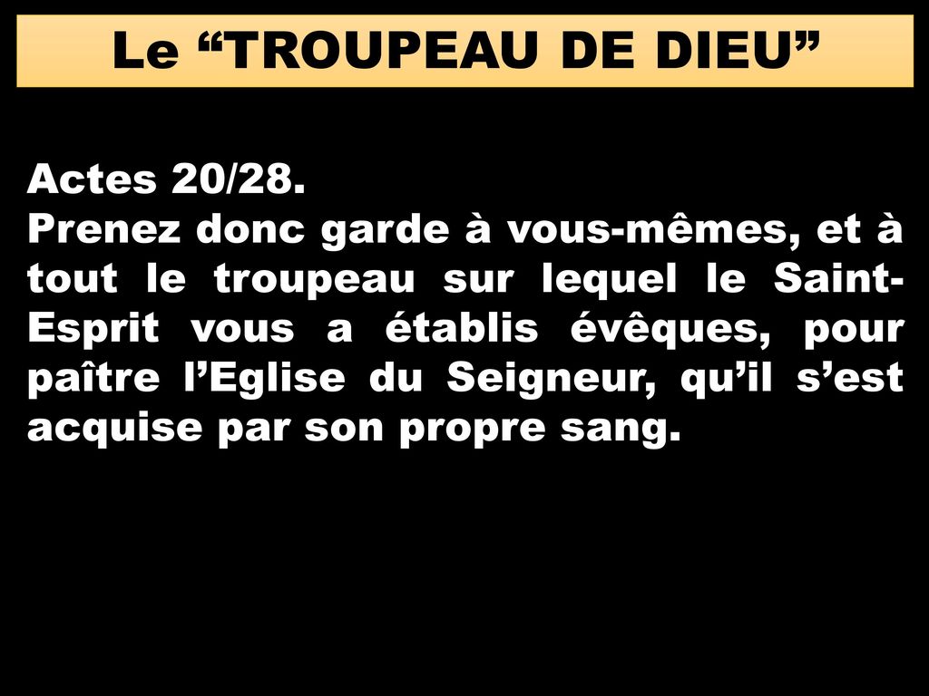 Le TROUPEAU DE DIEU Actes 20/28.