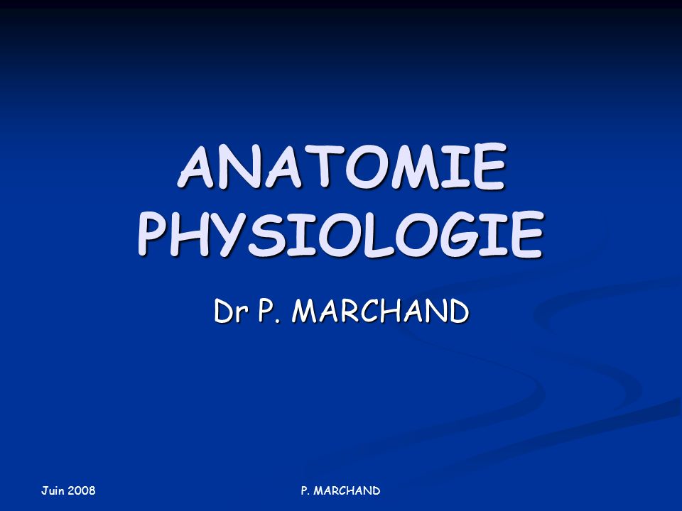 ANATOMIE PHYSIOLOGIE Dr P. MARCHAND Juin 2008 P. MARCHAND