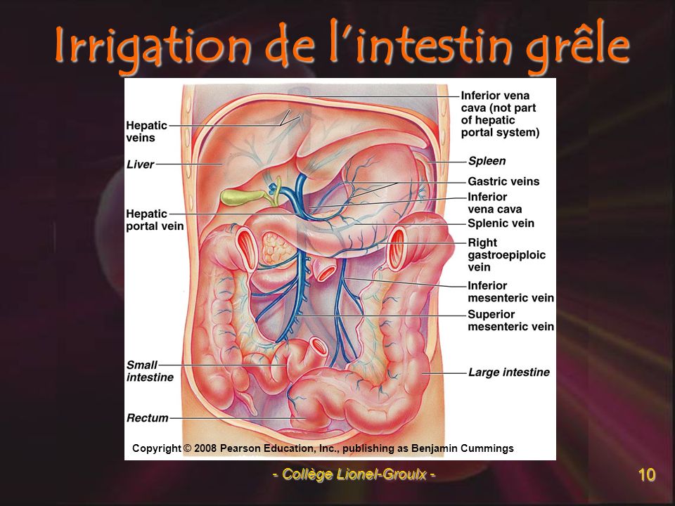 Irrigation de l’intestin grêle