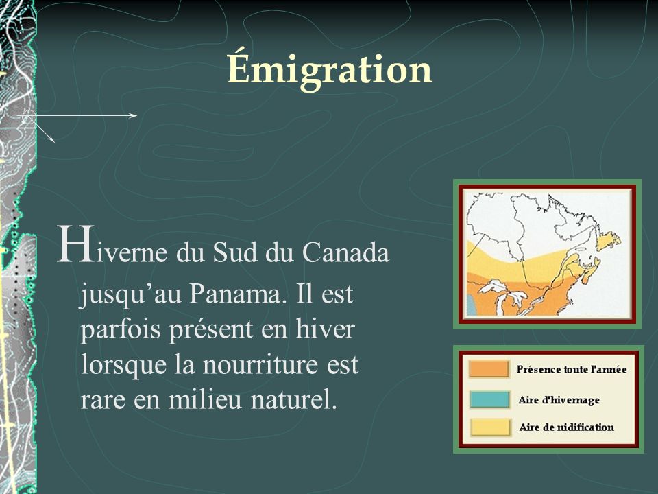 Émigration Hiverne du Sud du Canada jusqu’au Panama.
