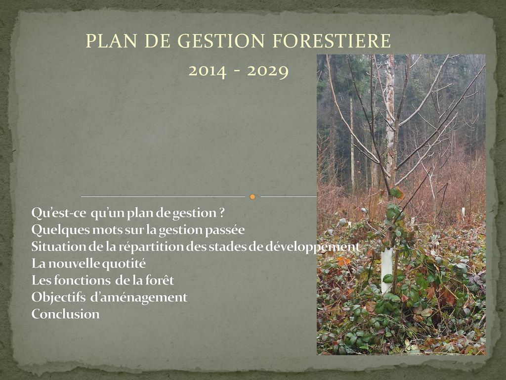 PLAN DE GESTION FORESTIERE