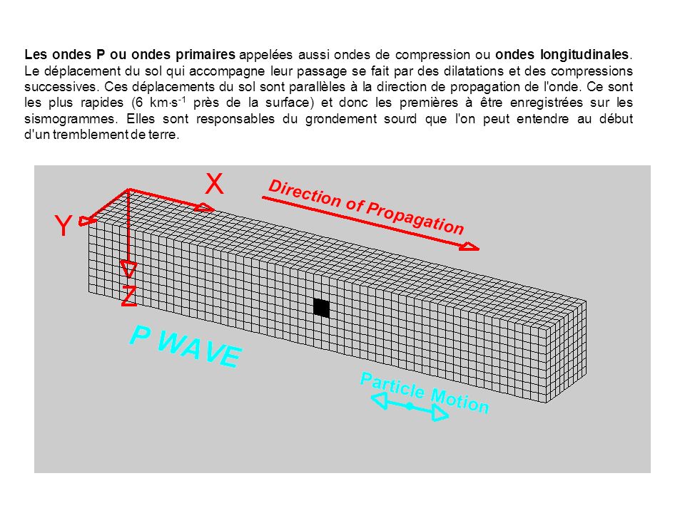 Les ondes P ou ondes primaires appelées aussi ondes de compression ou ondes longitudinales.