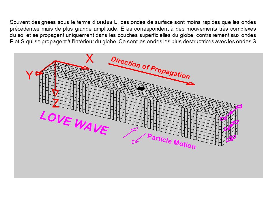 Souvent désignées sous le terme d’ondes L, ces ondes de surface sont moins rapides que les ondes précédentes mais de plus grande amplitude.