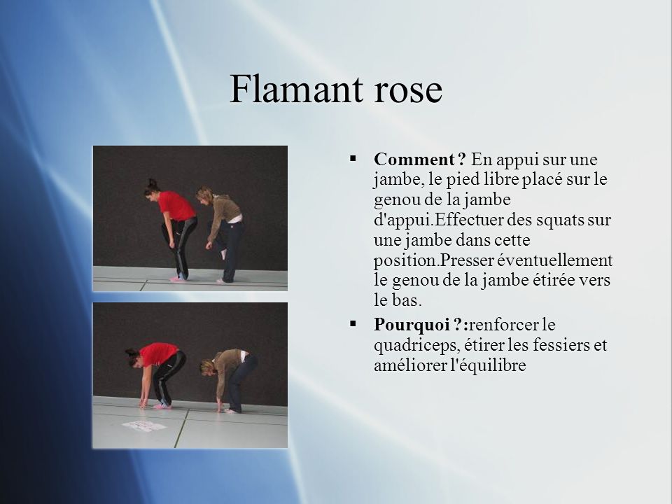 Flamant rose
