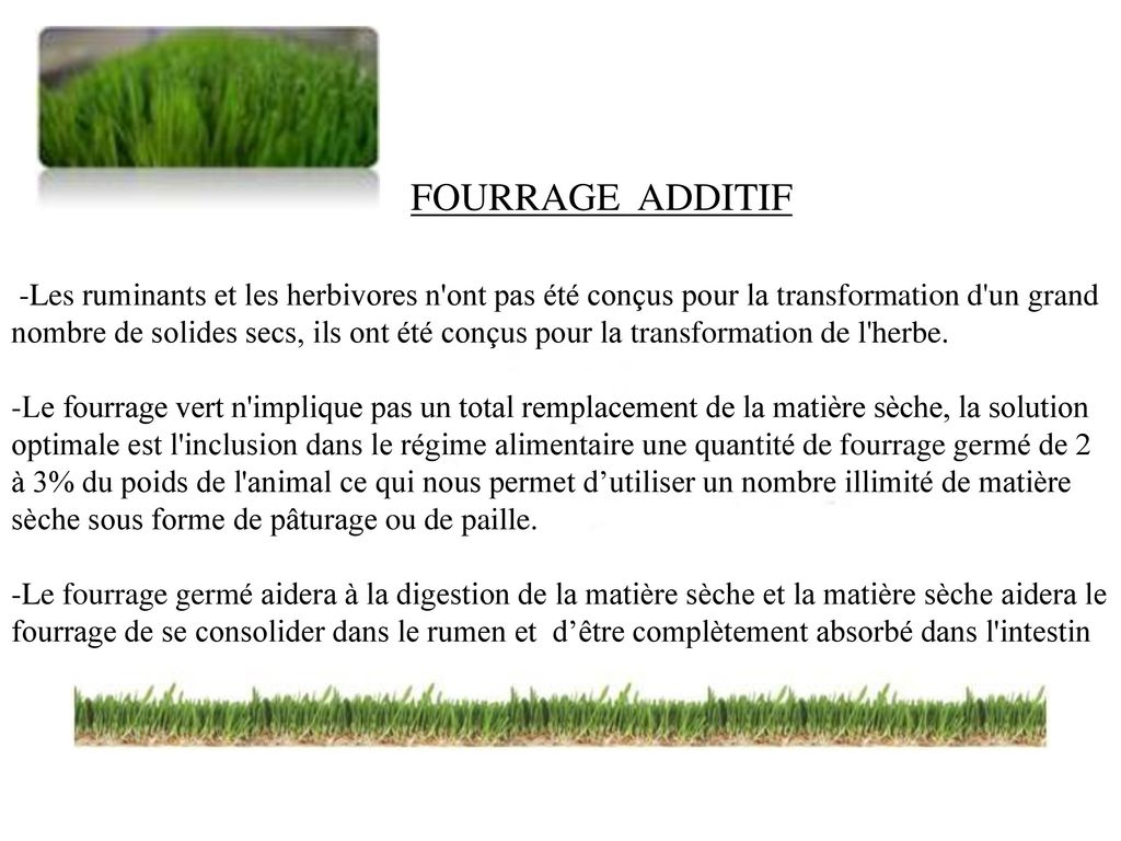 FOURRAGE ADDITIF -Les ruminants et les herbivores n ont pas été conçus pour la transformation d un grand nombre de solides secs, ils ont été conçus pour la transformation de l herbe.