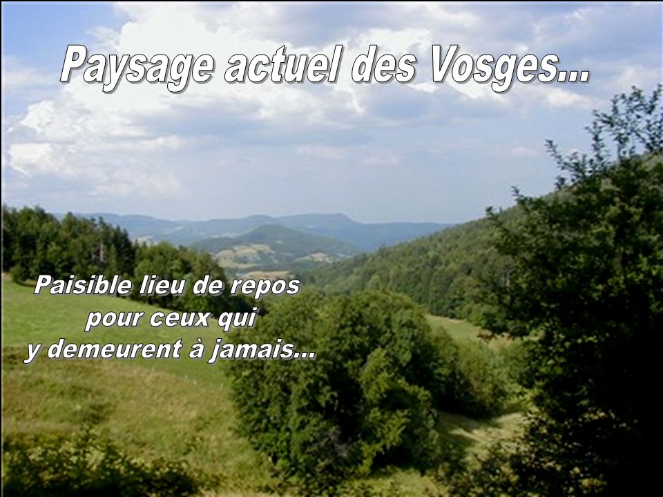 Paysage actuel des Vosges...