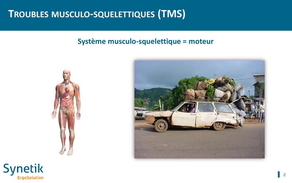Troubles musculo-squelettiques (TMS)