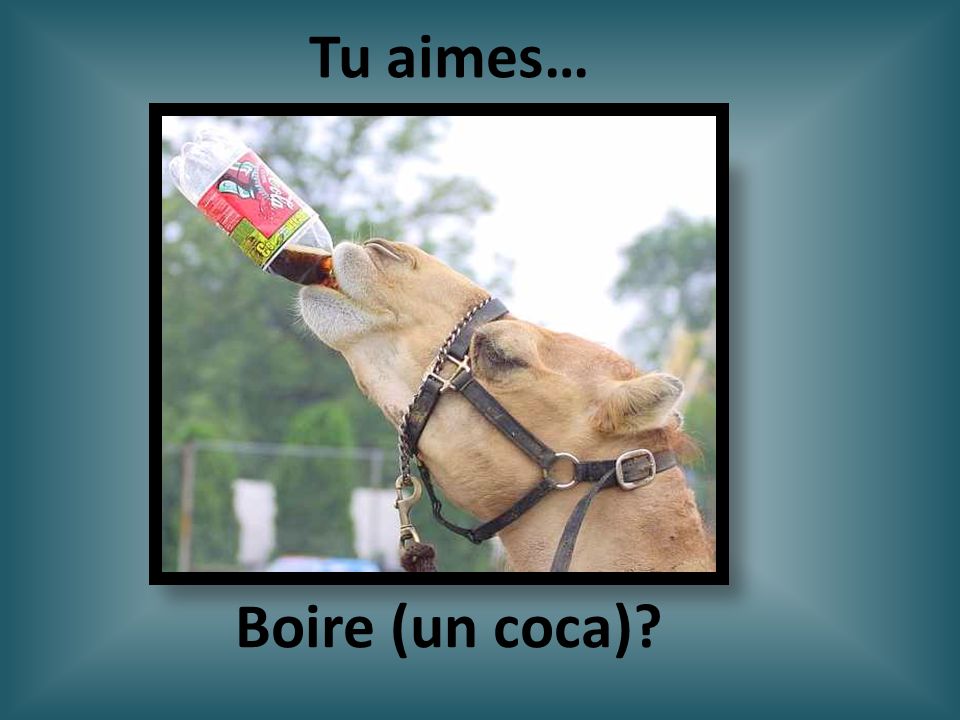 Tu aimes… Boire (un coca)