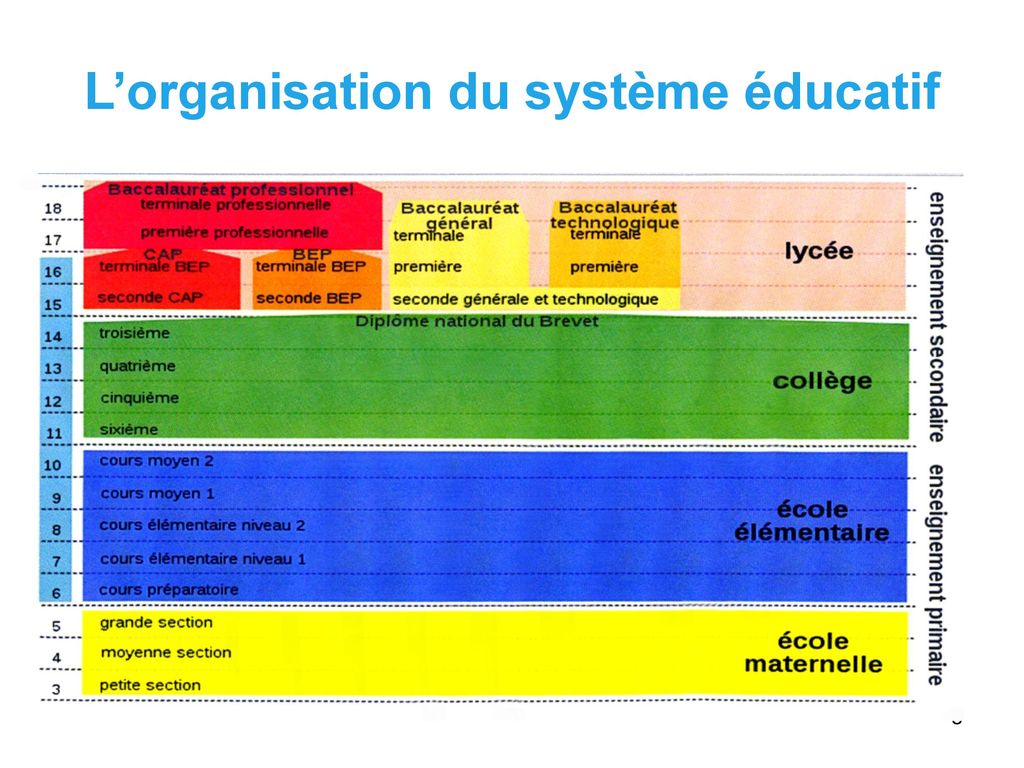 L’organisation du système éducatif