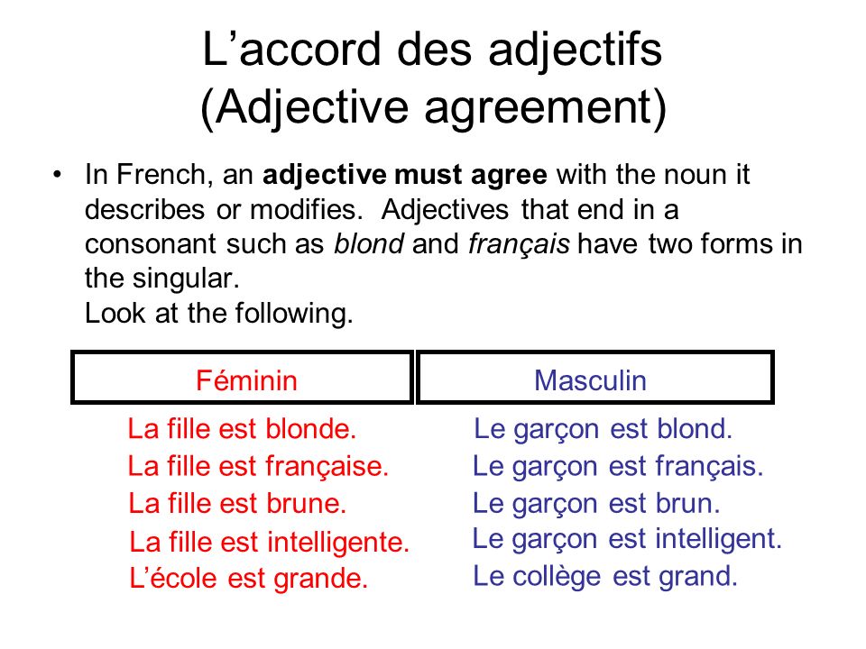 L’accord des adjectifs (Adjective agreement)