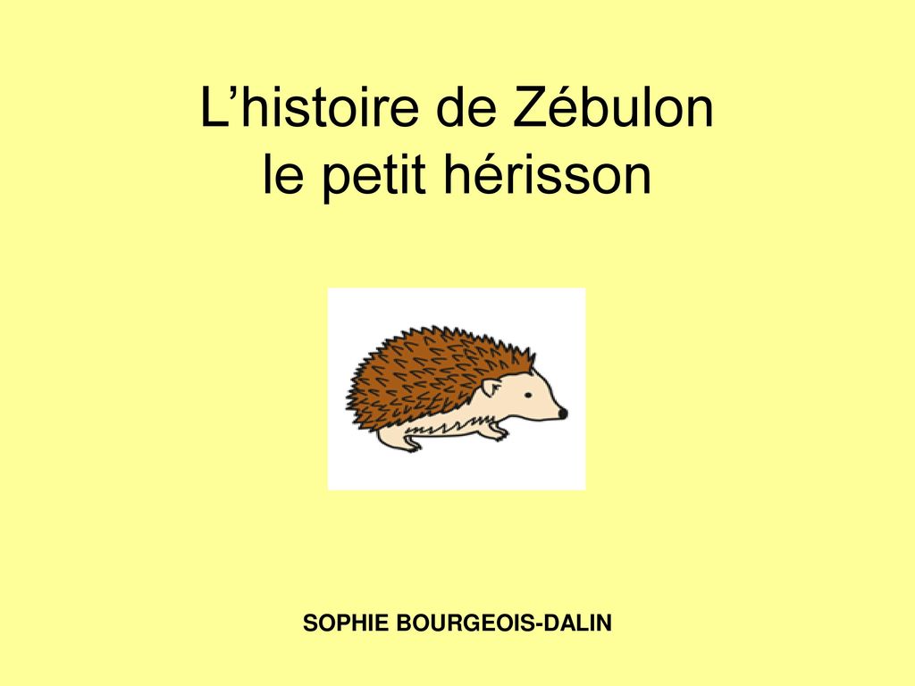 L’histoire de Zébulon le petit hérisson S SOPHIE BOURGEOIS-DALIN