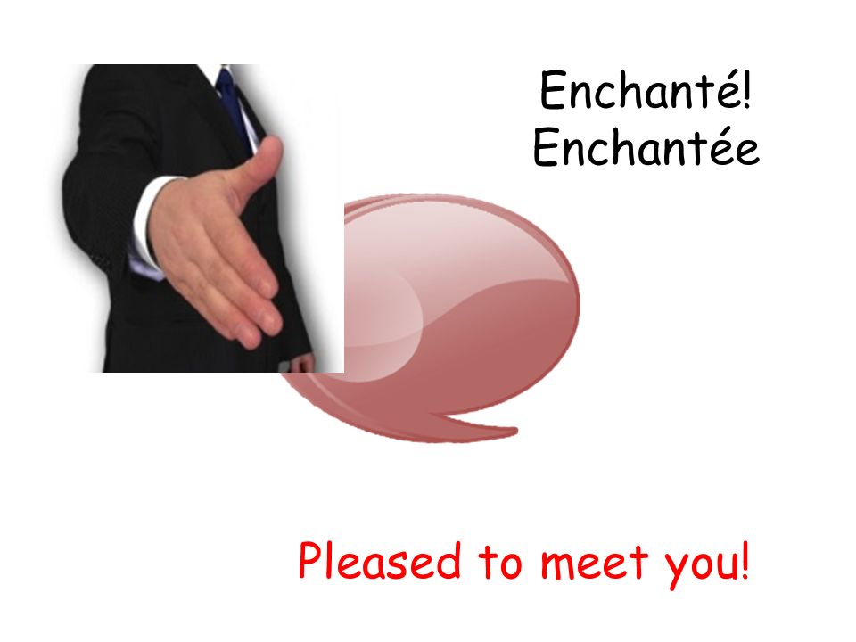 Enchanté! Enchantée Pleased to meet you!