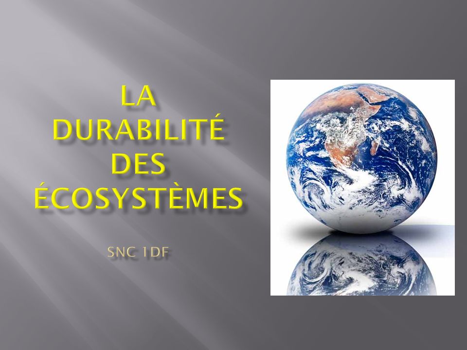 La durabilité des écosystèmes SNC 1DF