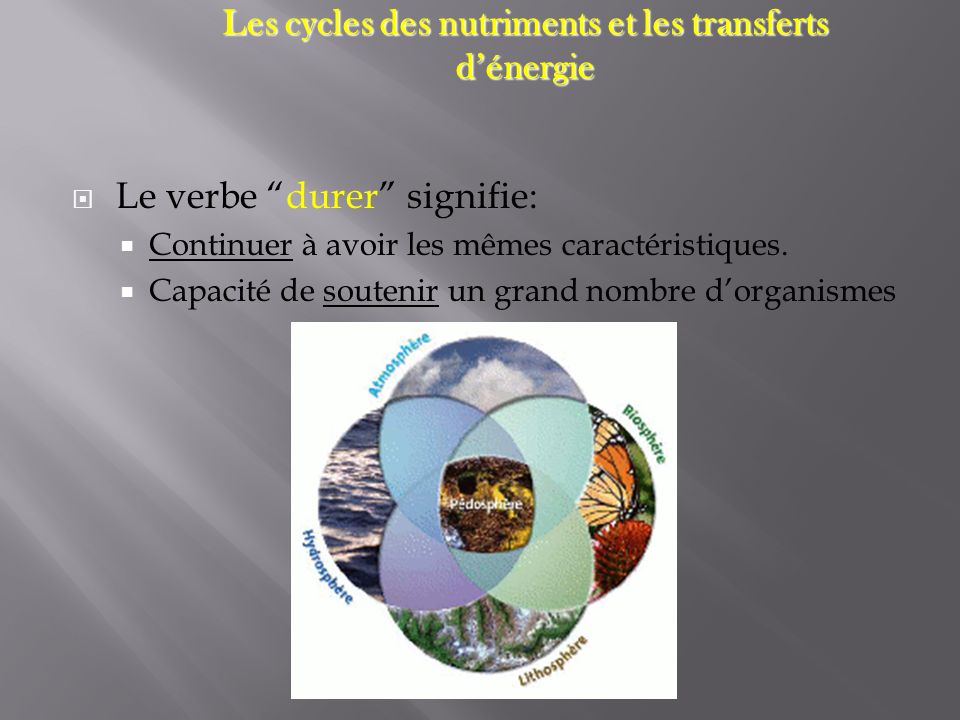 Les cycles des nutriments et les transferts d’énergie