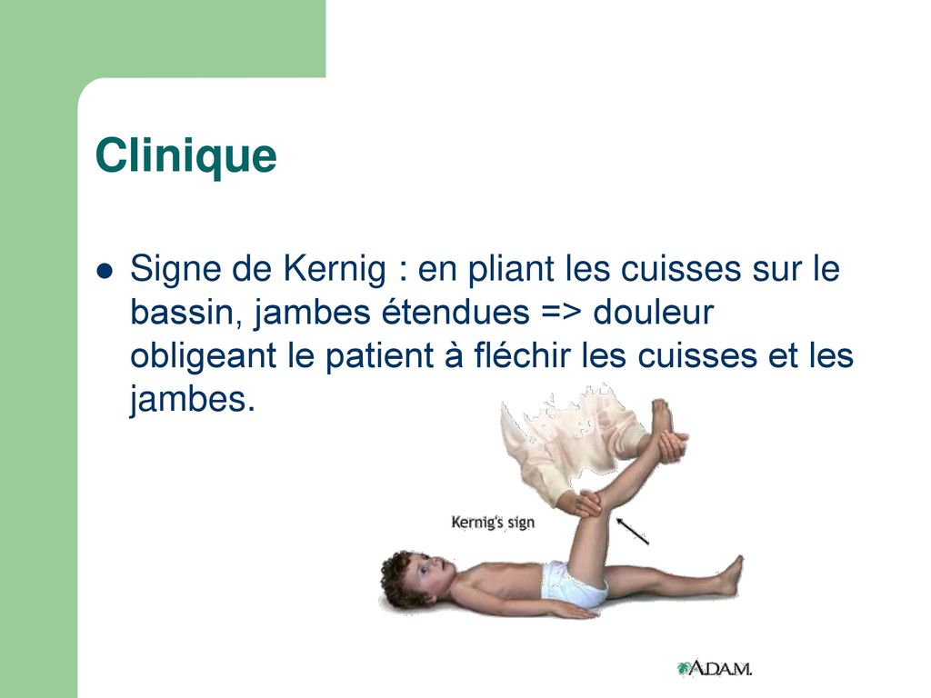 Clinique Signe de Kernig : en pliant les cuisses sur le bassin, jambes étendues => douleur obligeant le patient à fléchir les cuisses et les jambes.