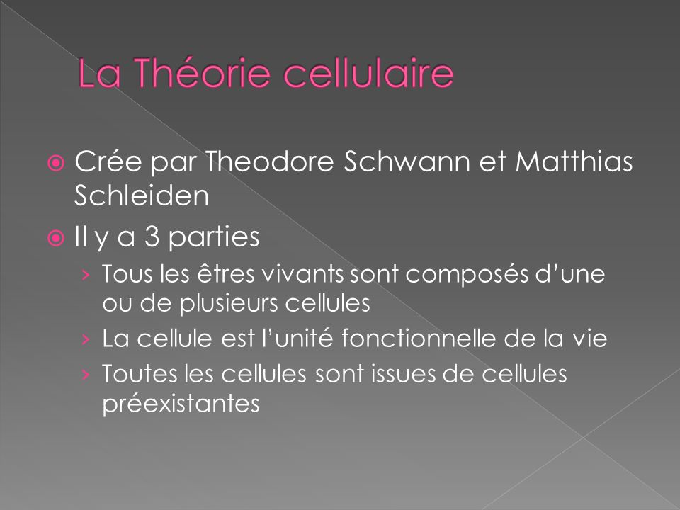 La Théorie cellulaire Crée par Theodore Schwann et Matthias Schleiden