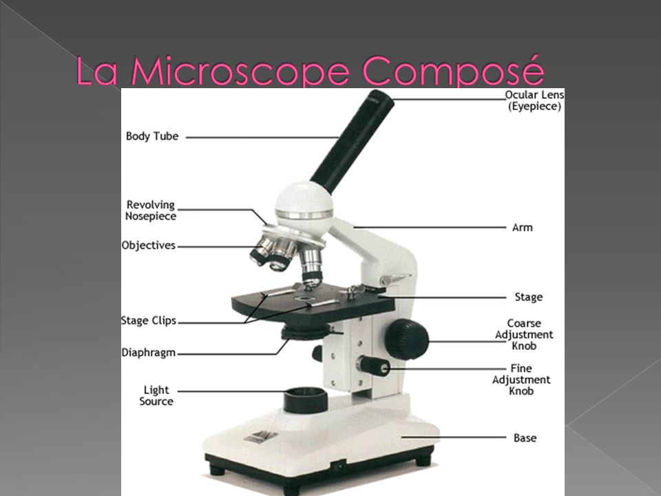 La Microscope Composé