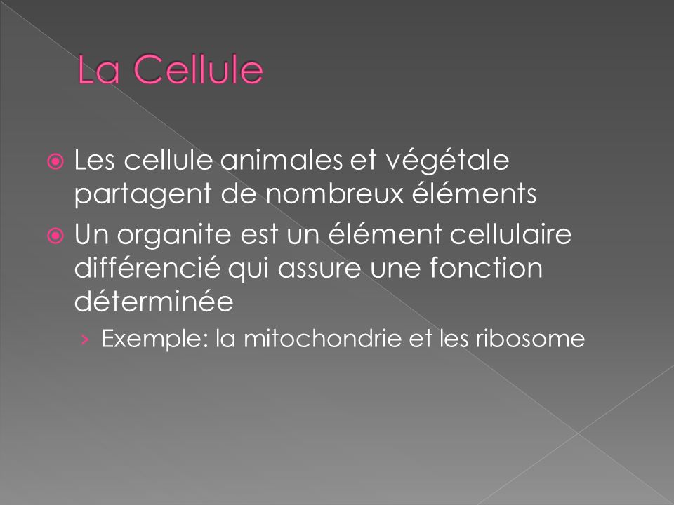 La Cellule Les cellule animales et végétale partagent de nombreux éléments.