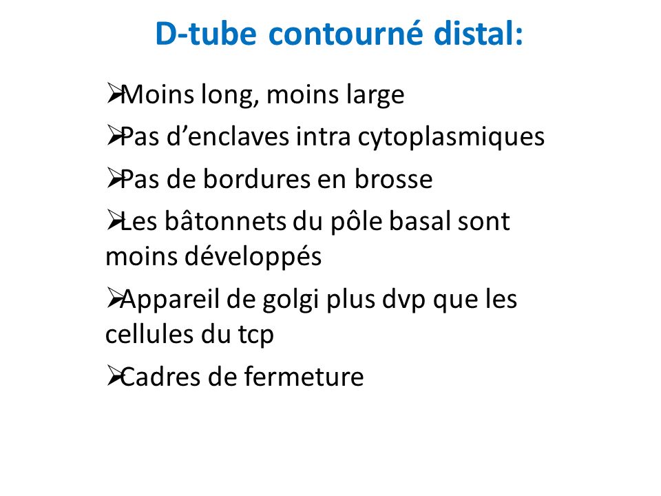 D-tube contourné distal: