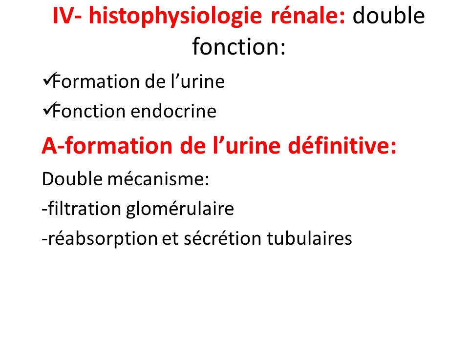 IV- histophysiologie rénale: double fonction:
