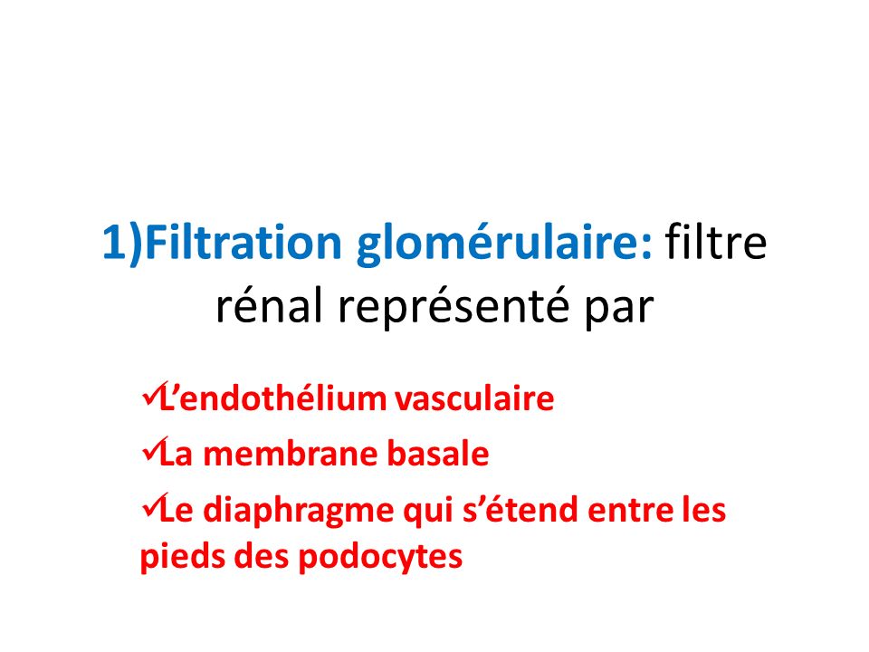 1)Filtration glomérulaire: filtre rénal représenté par
