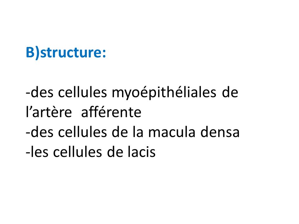 B)structure: -des cellules myoépithéliales de l’artère afférente -des cellules de la macula densa -les cellules de lacis
