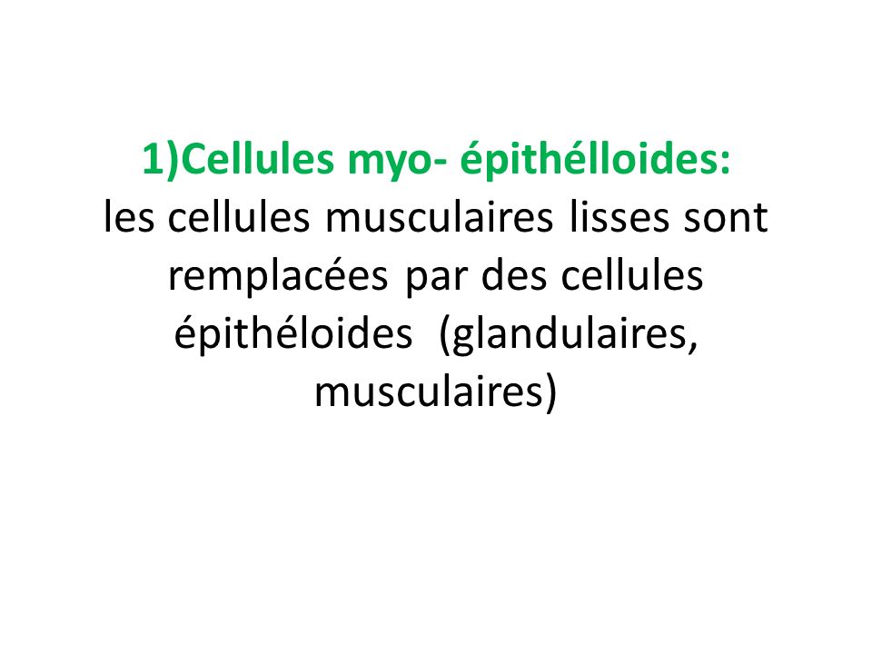 1)Cellules myo- épithélloides: les cellules musculaires lisses sont remplacées par des cellules épithéloides (glandulaires, musculaires)