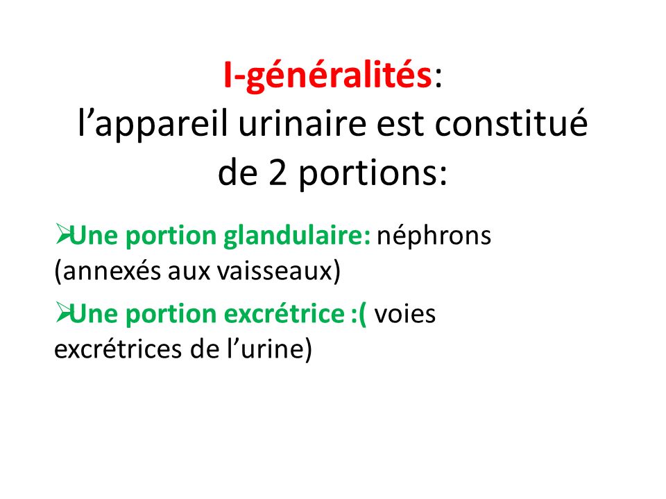 I-généralités: l’appareil urinaire est constitué de 2 portions: