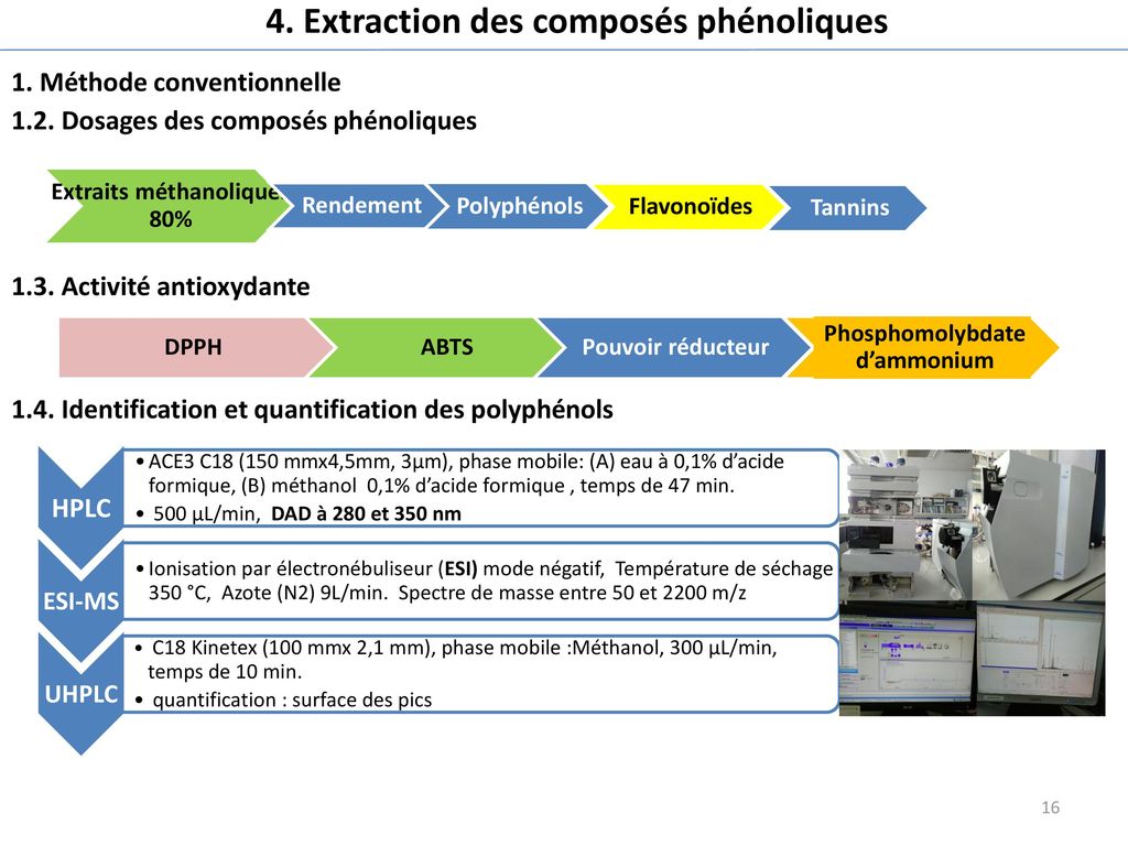 4. Extraction des composés phénoliques