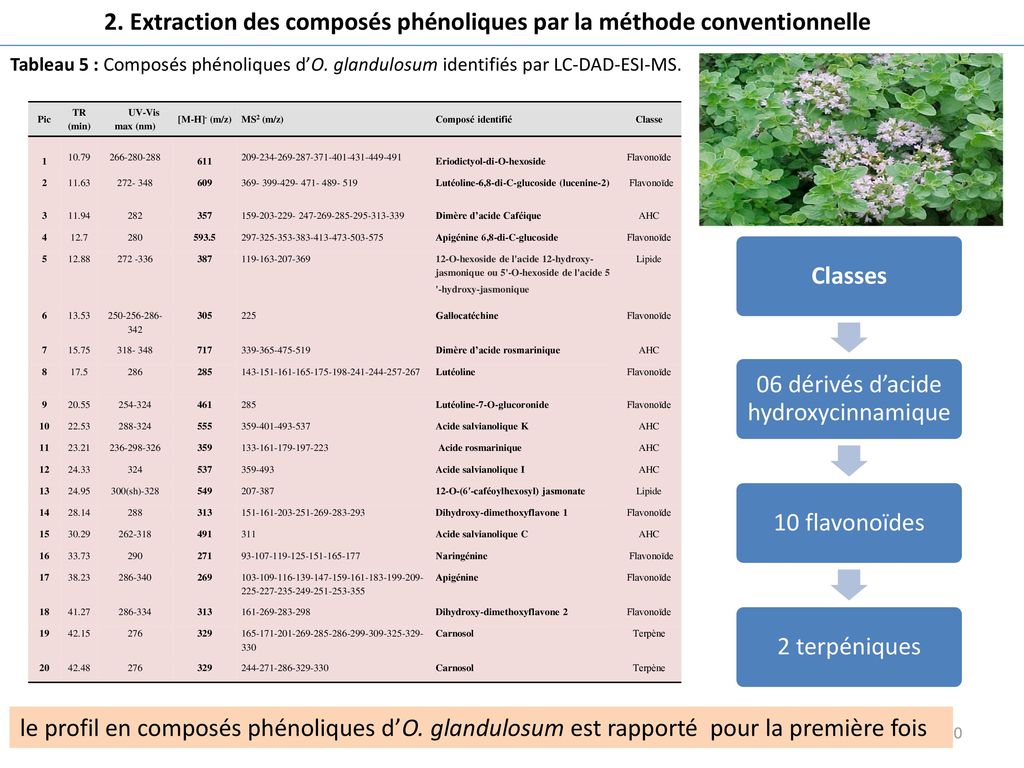2. Extraction des composés phénoliques par la méthode conventionnelle