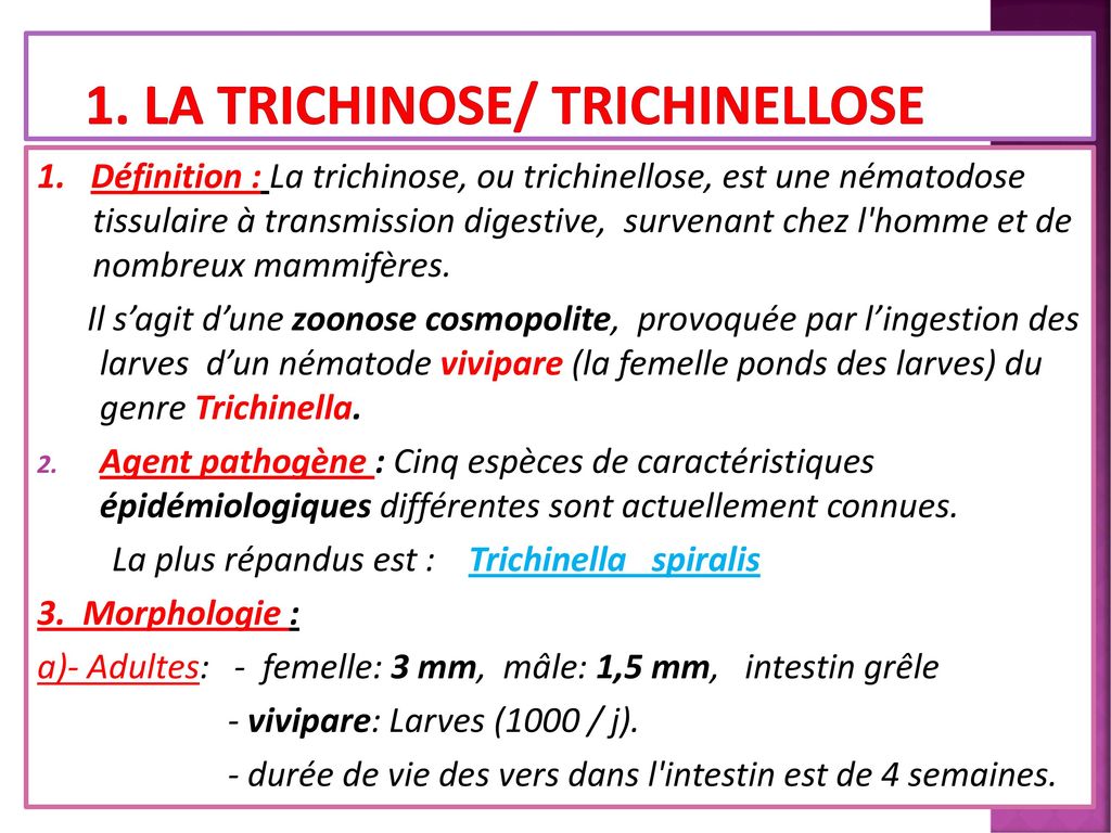 Nématodoses Tissulaires (extradigestives) - ppt télécharger