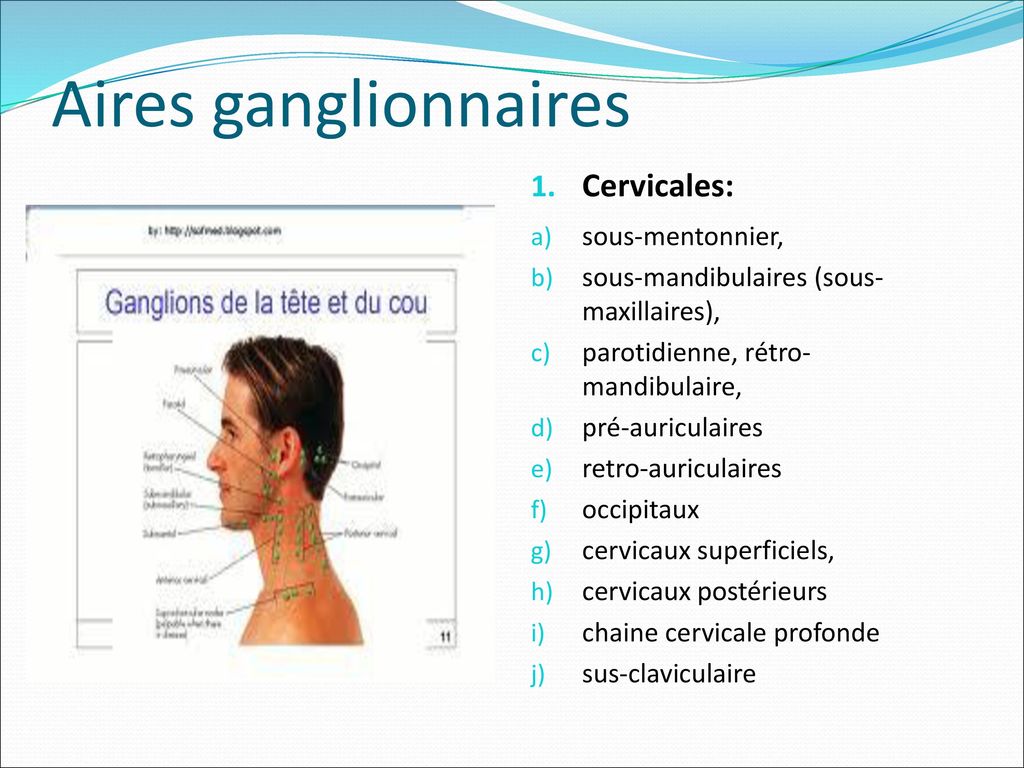 Aires ganglionnaires Cervicales: sous-mentonnier,