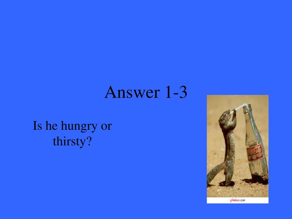 Answer 1-3 Is he hungry or thirsty