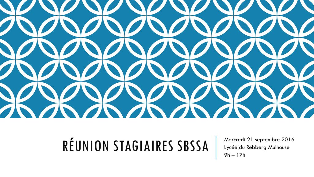 Réunion Stagiaires SBSSA