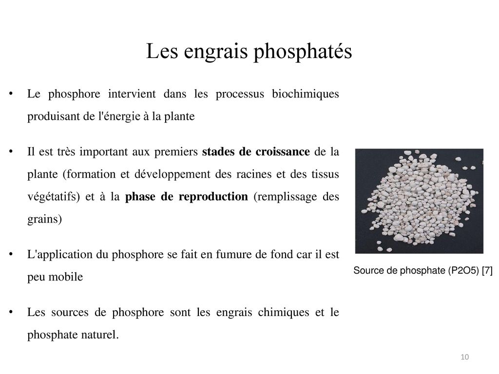 Les engrais phosphatés