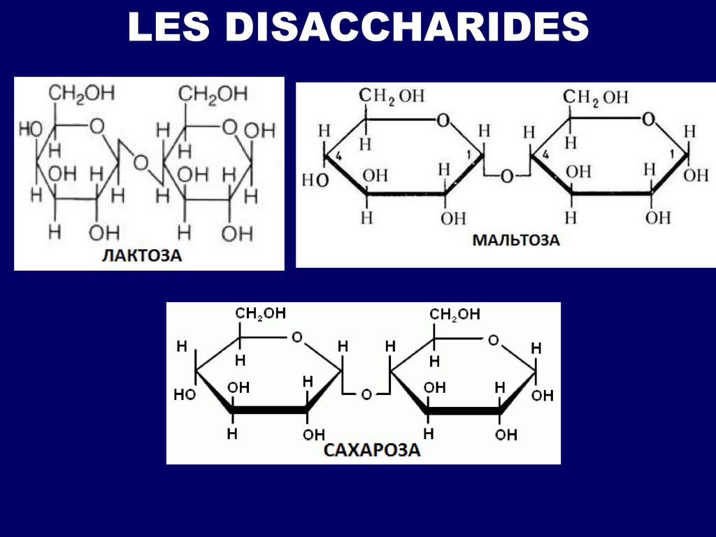 В состав лактозы входят. Олигосахариды мальтоза. Сахароза мальтоза лактоза. Циклическая форма мальтозы. Углеводы дисахариды формула.