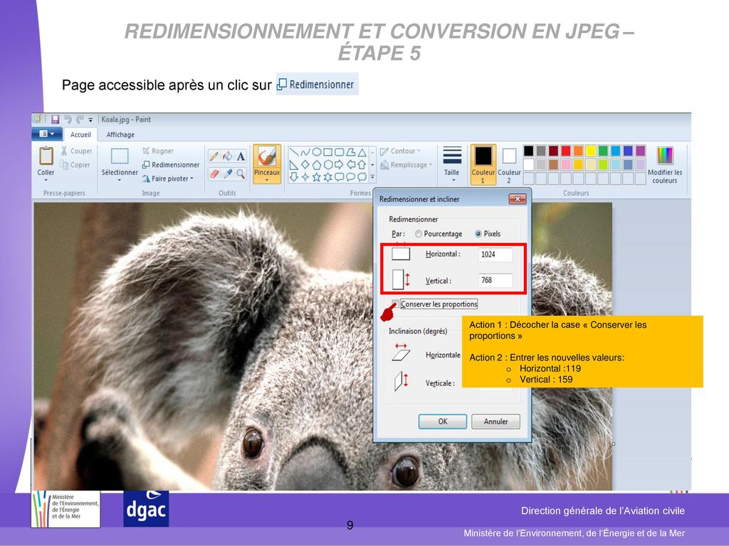 Redimensionnement et Conversion en JPEG – étape 5