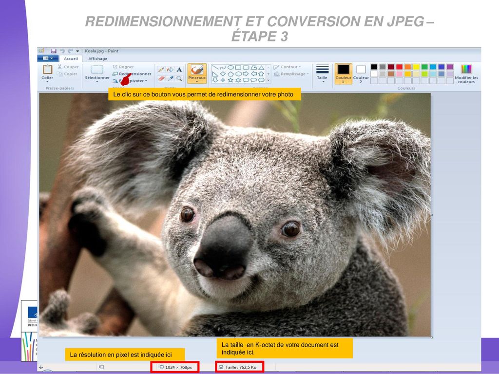 Redimensionnement et Conversion en JPEG – étape 3