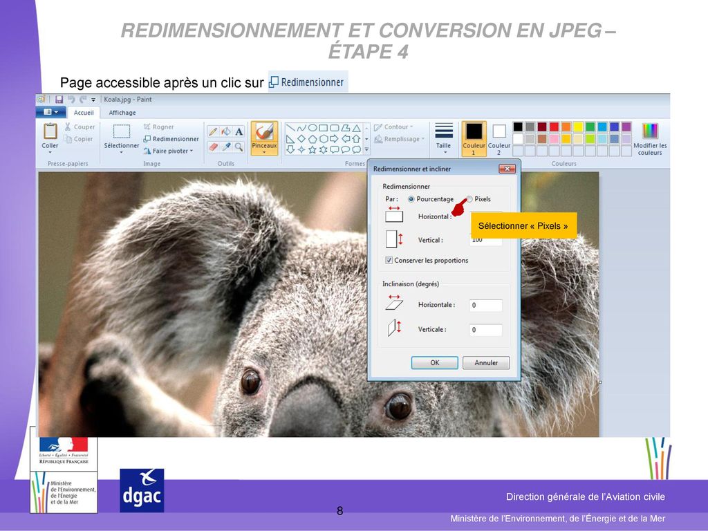 Redimensionnement et Conversion en JPEG – étape 4