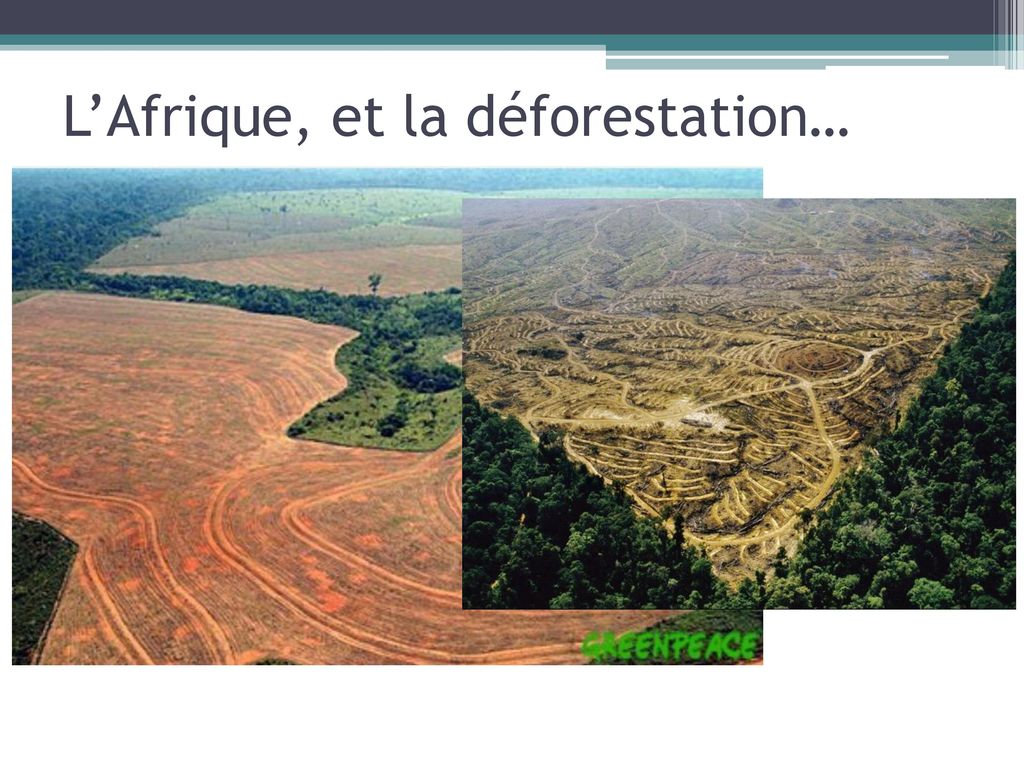 L’Afrique, et la déforestation…