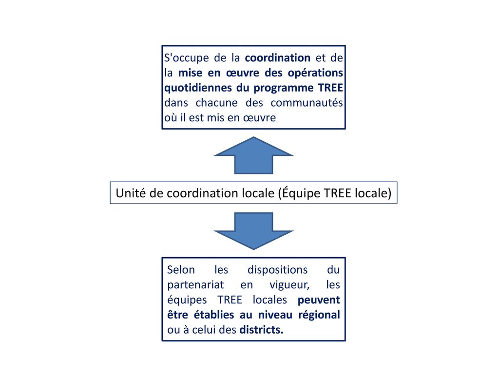 Unité de coordination locale (Équipe TREE locale)
