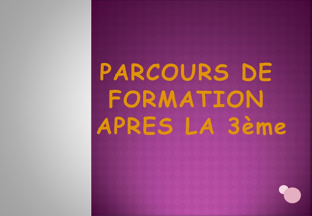 PARCOURS DE FORMATION APRES LA 3ème