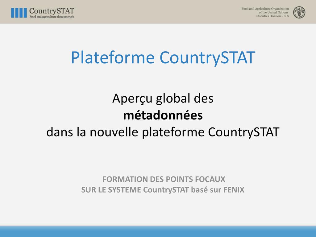 Plateforme CountrySTAT Aperçu global des métadonnées dans la nouvelle plateforme CountrySTAT FORMATION DES POINTS FOCAUX SUR LE SYSTEME CountrySTAT basé sur FENIX