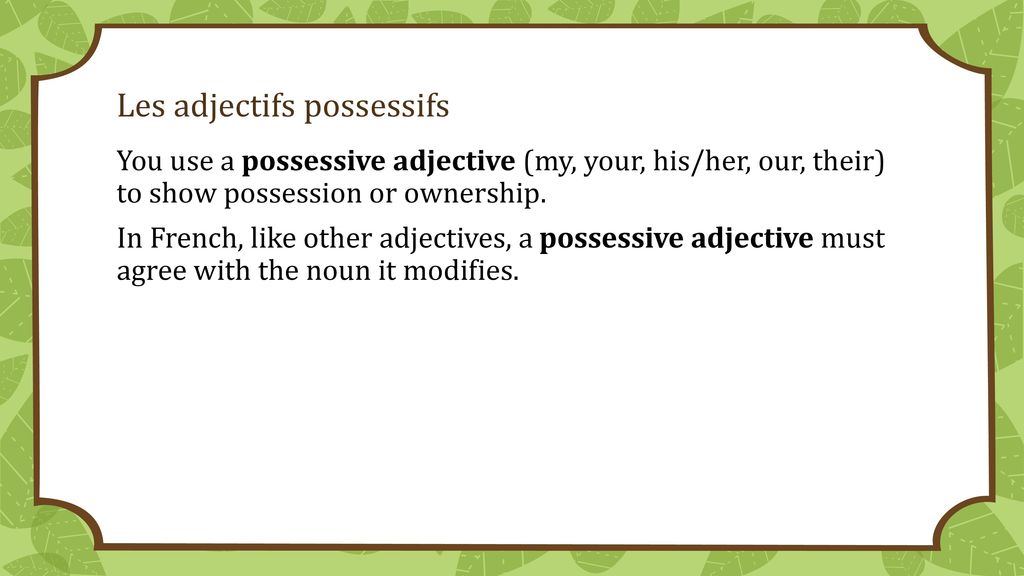 Les adjectifs possessifs