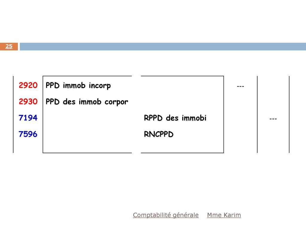 PPD immob incorp PPD des immob corpor