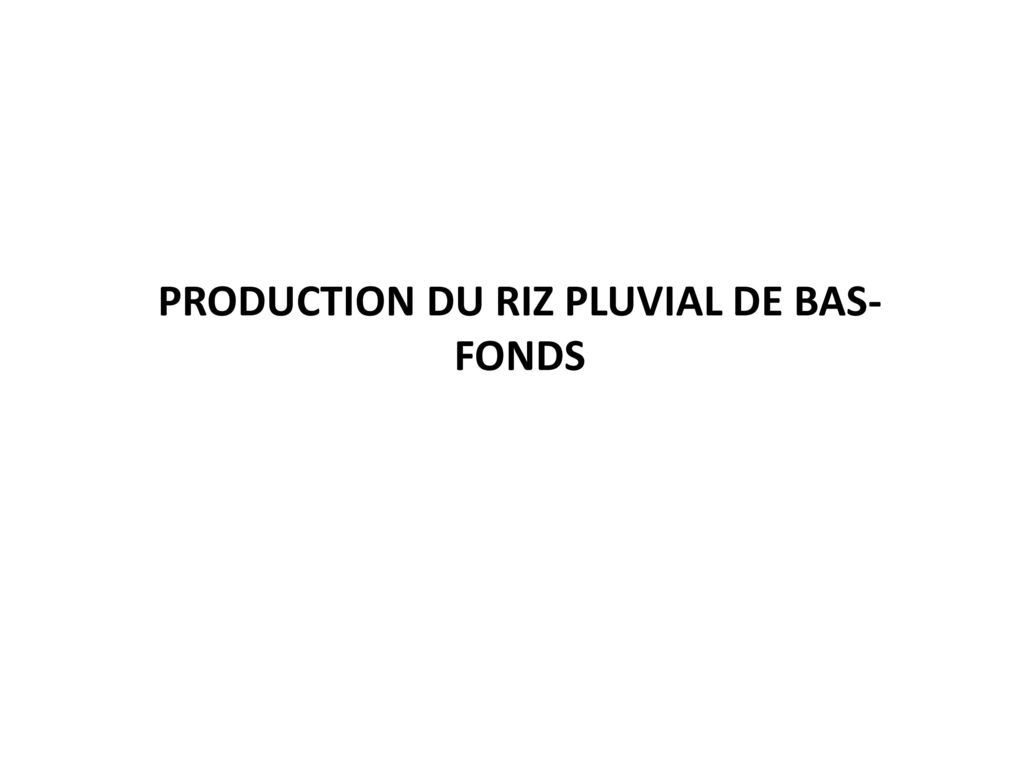 PRODUCTION DU RIZ PLUVIAL DE BAS-FONDS