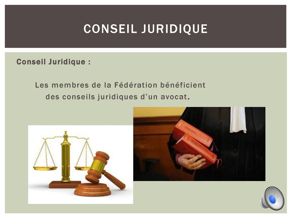 Conseil juridique Conseil Juridique :