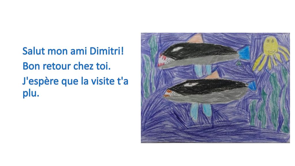 Salut Dimitri Le Roi Des Requins Ppt Telecharger