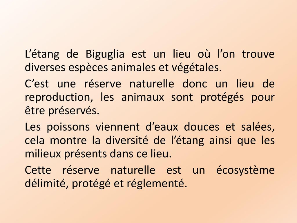 L’étang de Biguglia est un lieu où l’on trouve diverses espèces animales et végétales.