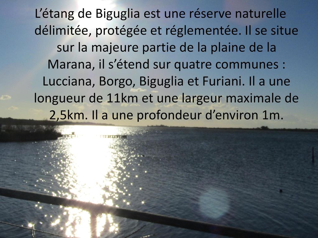 L’étang de Biguglia est une réserve naturelle délimitée, protégée et réglementée.
